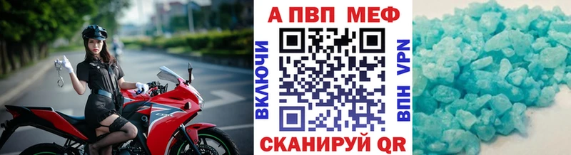Альфа ПВП СК  Пугачёв 