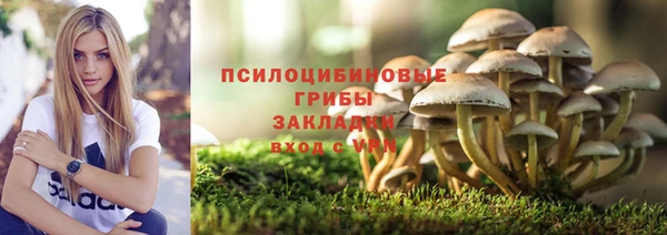не бодяженный Аркадак