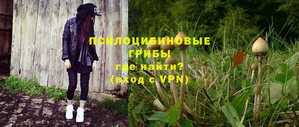 не бодяженный Аркадак