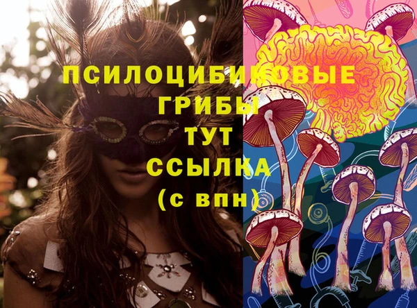не бодяженный Аркадак