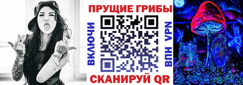 как найти   Пугачёв  Галлюциногенные грибы Magic Shrooms 